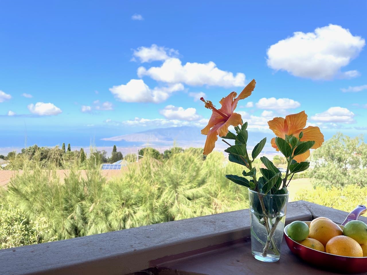77 Kahoea Place Kula, HI 96790 - Photo 6 of 44 a vase of flowers sitting on a table