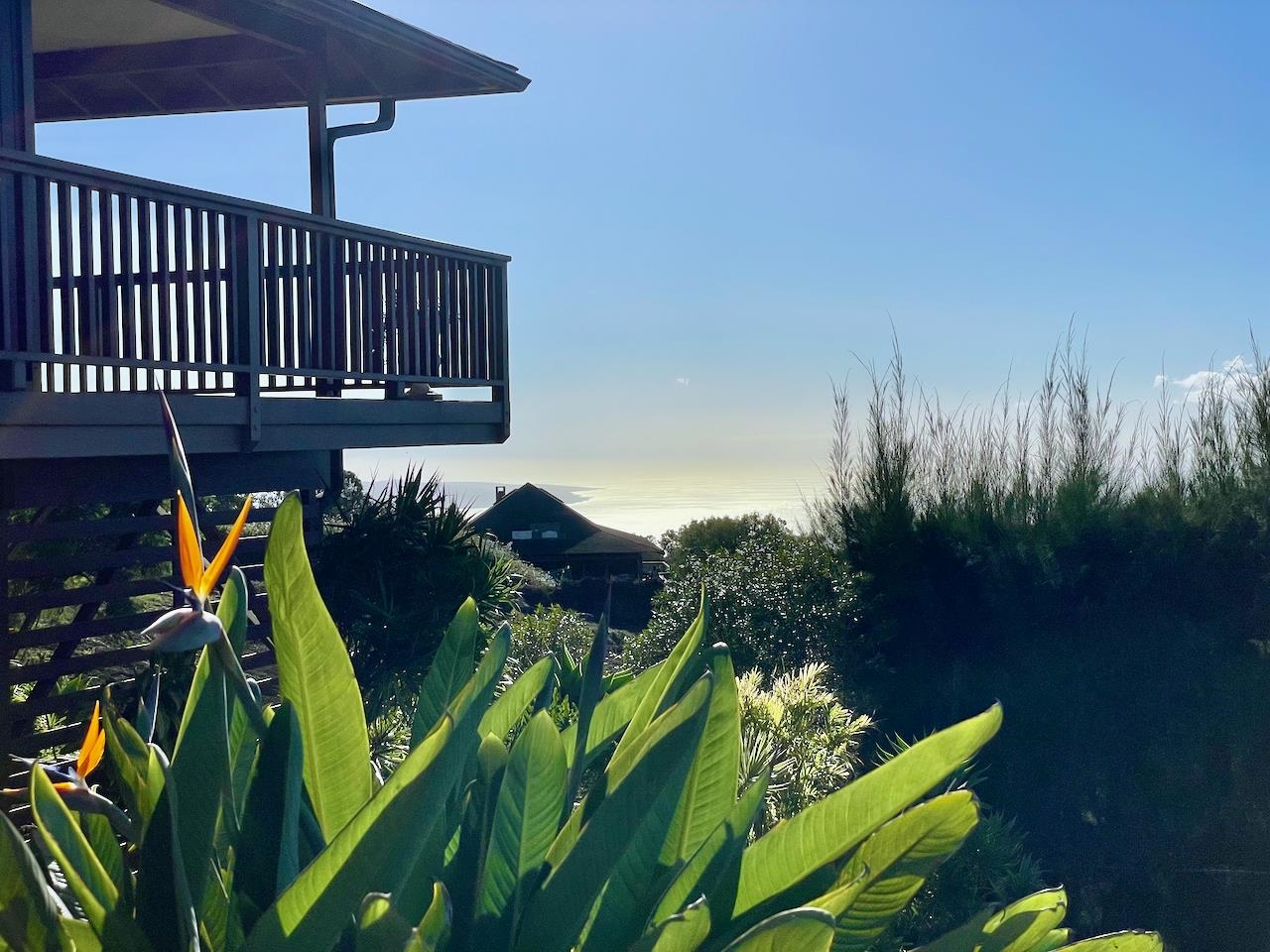 77 Kahoea Place Kula, HI 96790 - Photo 7 of 44 a view of a balcony with chairs