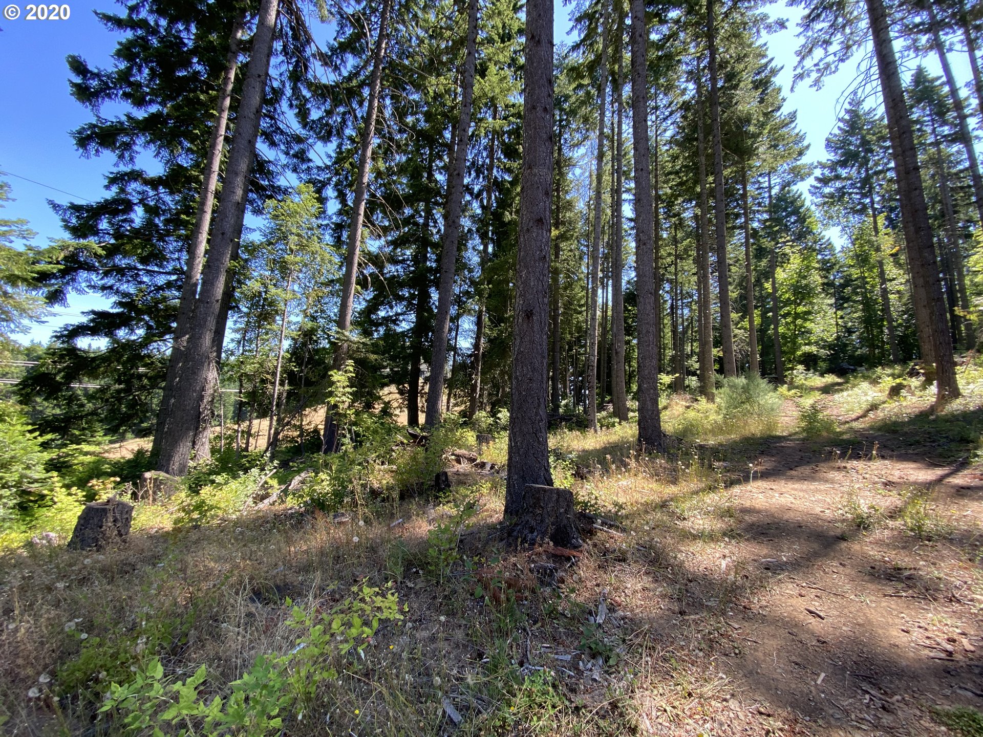 Lacock-kelchner Rd Underwood, WA 98651 - Photo 1 of 9