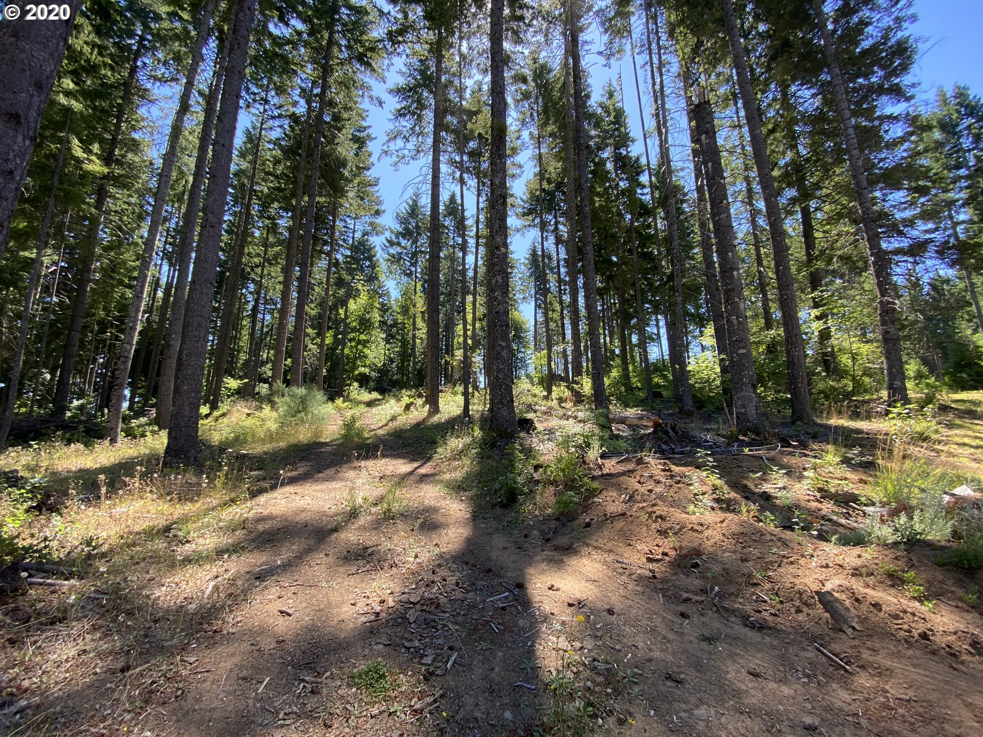 Lacock-kelchner Rd Underwood, WA 98651 - Photo 2 of 9