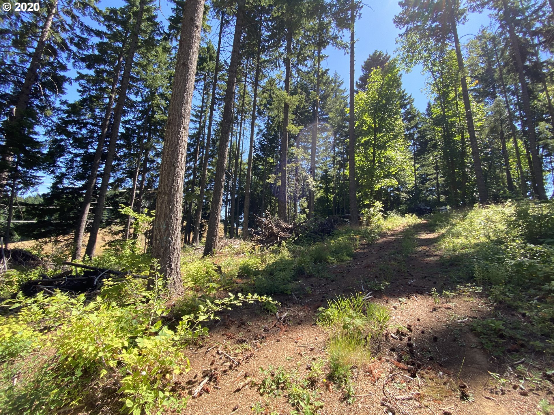 Lacock-kelchner Rd Underwood, WA 98651 - Photo 3 of 9