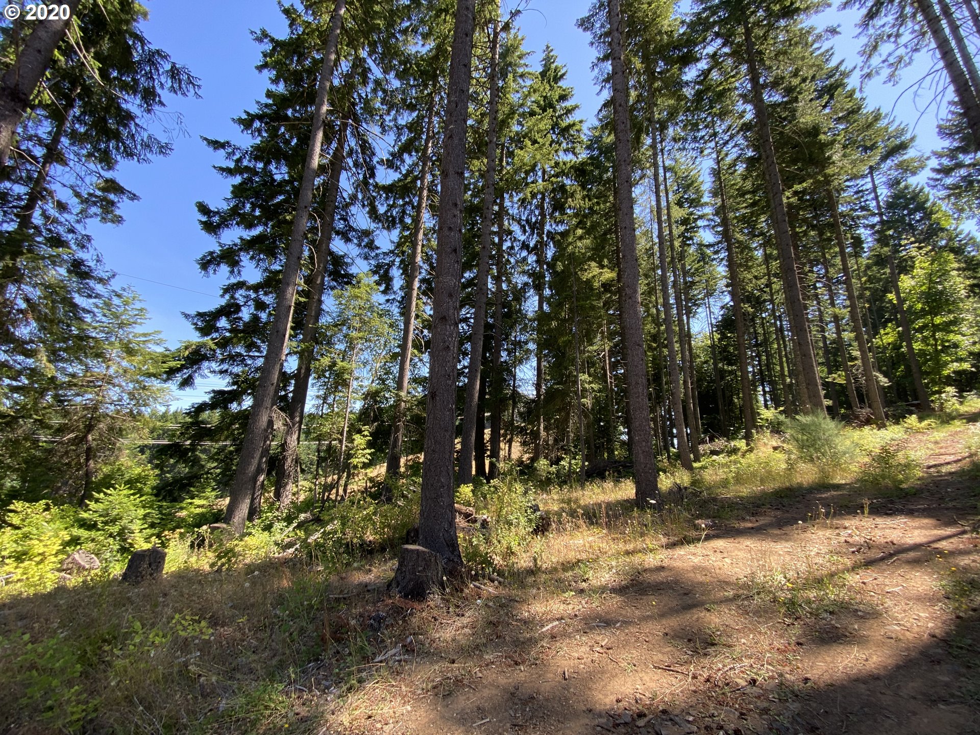 Lacock-kelchner Rd Underwood, WA 98651 - Photo 4 of 9