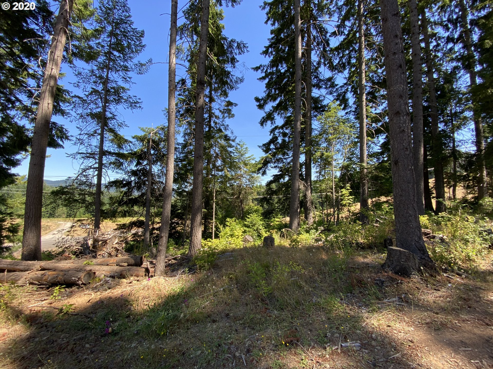 Lacock-kelchner Rd Underwood, WA 98651 - Photo 5 of 9