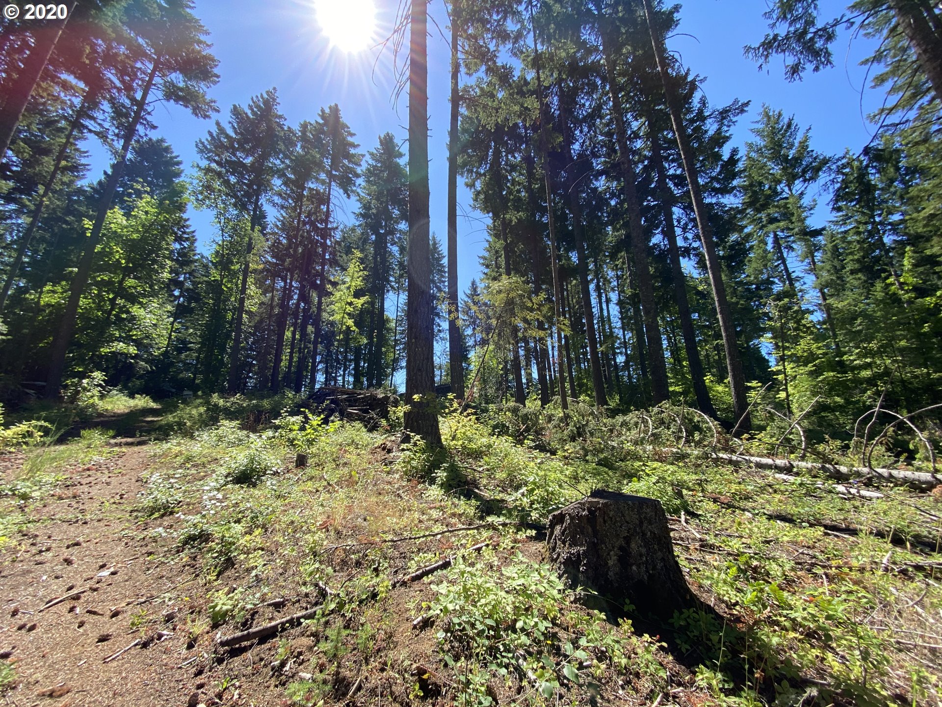 Lacock-kelchner Rd Underwood, WA 98651 - Photo 6 of 9