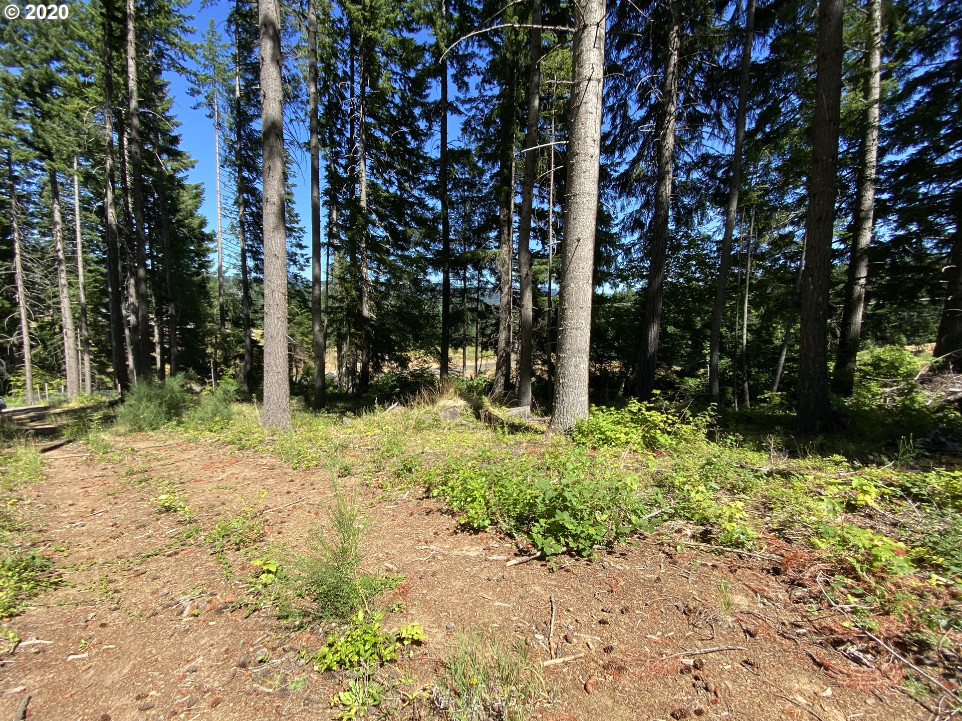 Lacock-kelchner Rd Underwood, WA 98651 - Photo 7 of 9