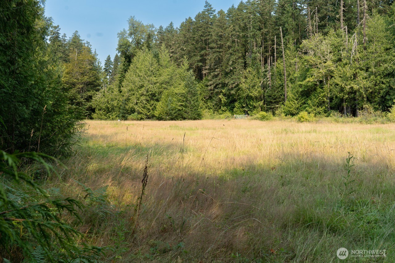 9999 Don Schmith Road Sequim, WA 98382 - Photo 13 of 16 Gallery Image 13