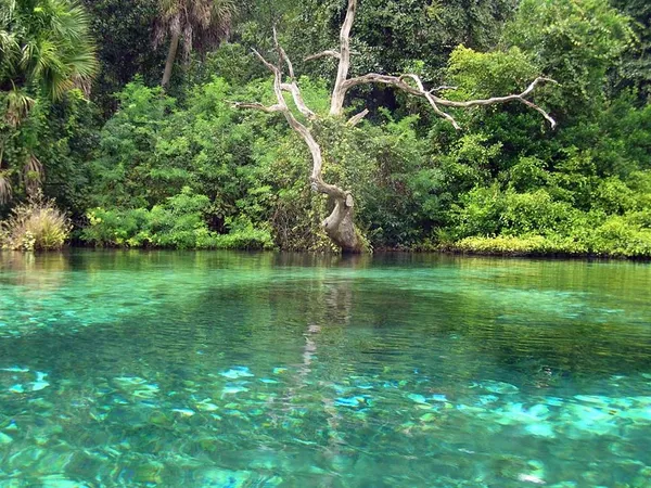 $279,900 | 20707 Park Avenue, Dunnellon, FL 34431