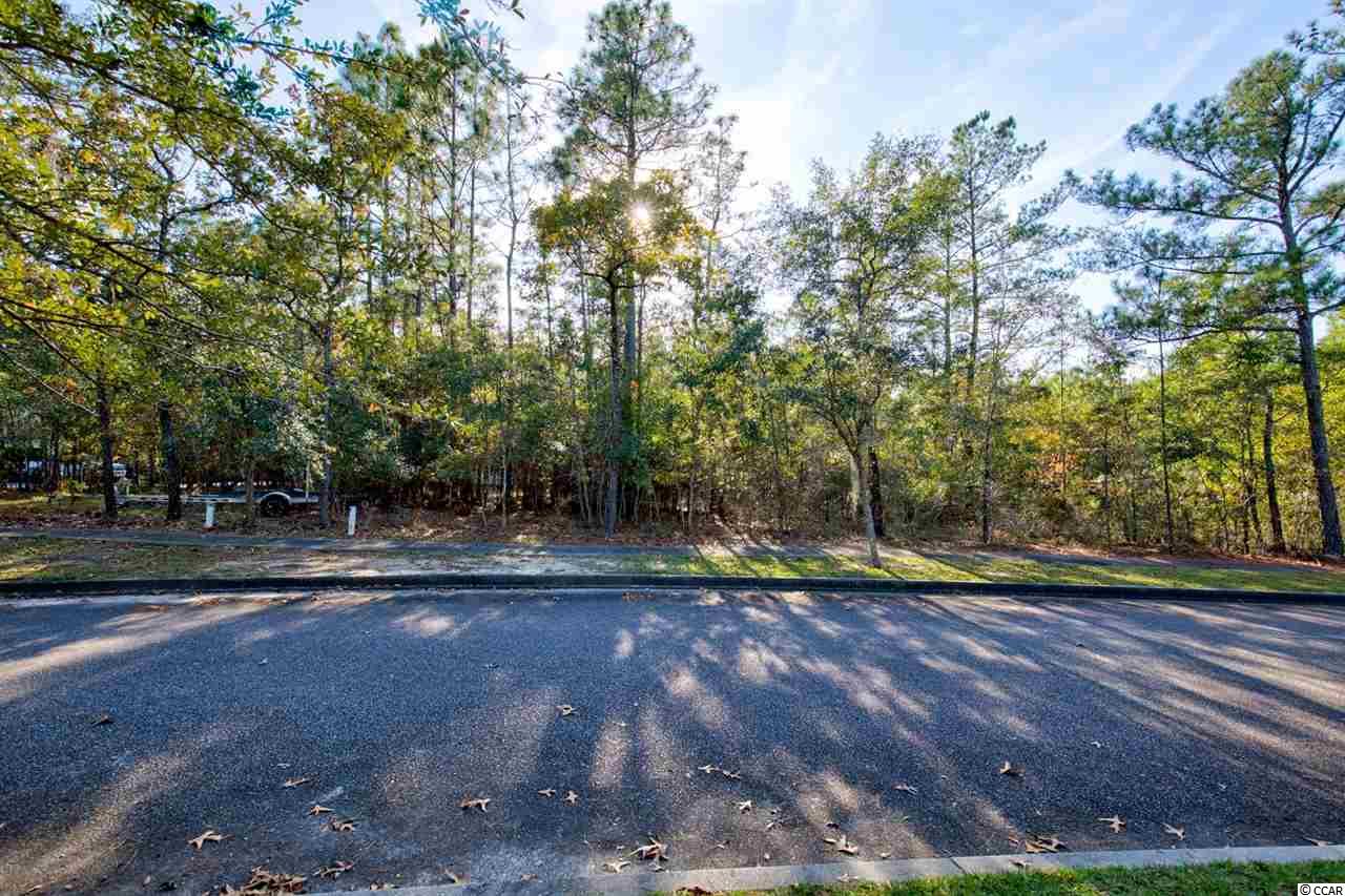141 Madison Drive Georgetown, SC 29440 - Photo 1 of 19 Gallery Image 1