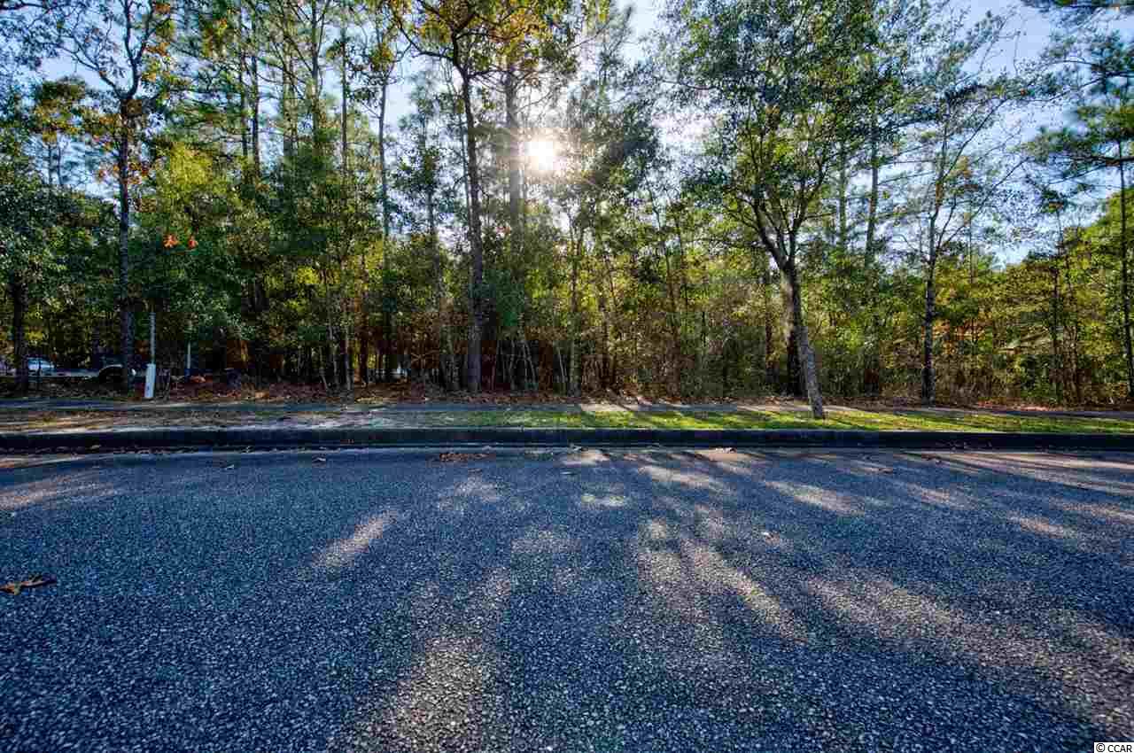 141 Madison Drive Georgetown, SC 29440 - Photo 2 of 19 Gallery Image 2