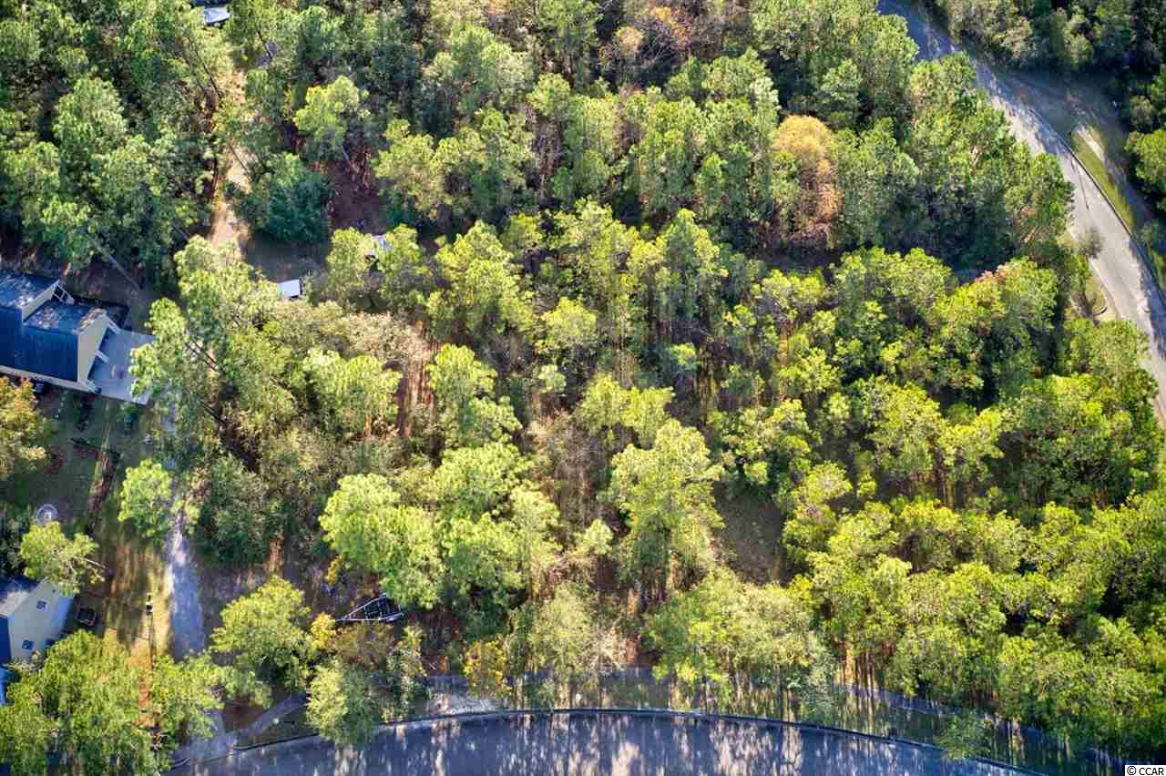 141 Madison Drive Georgetown, SC 29440 - Photo 14 of 19 Gallery Image 14