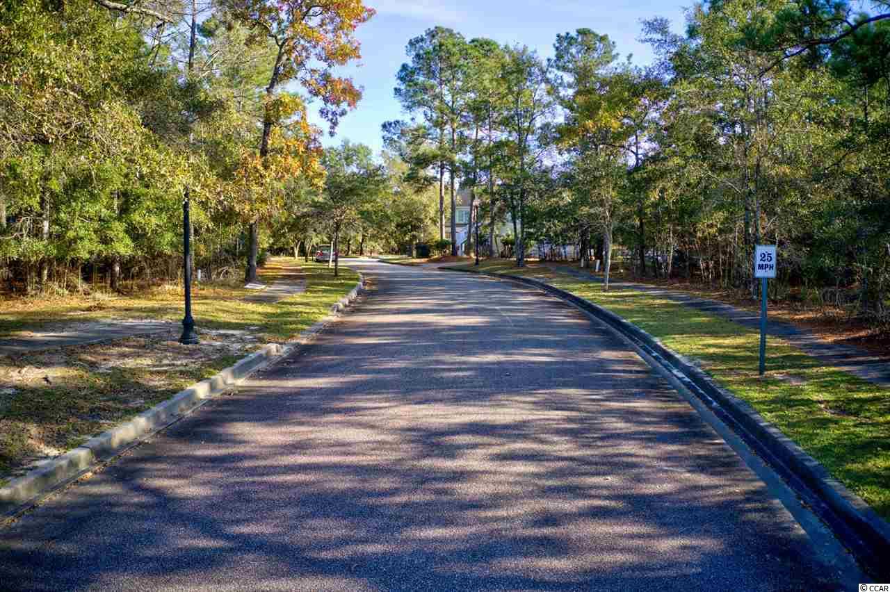 141 Madison Drive Georgetown, SC 29440 - Photo 15 of 19 Gallery Image 15