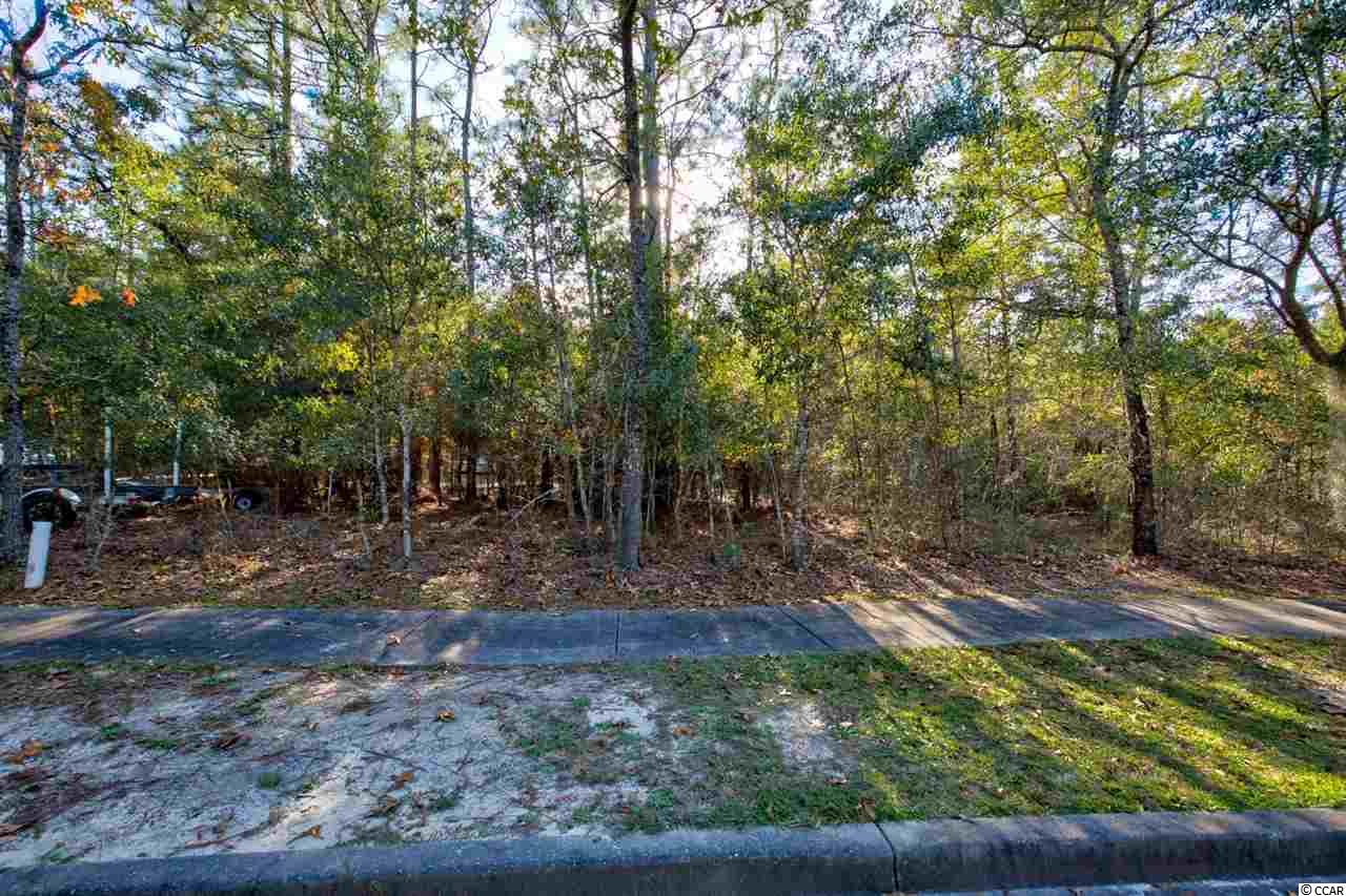 141 Madison Drive Georgetown, SC 29440 - Photo 3 of 19 Gallery Image 3
