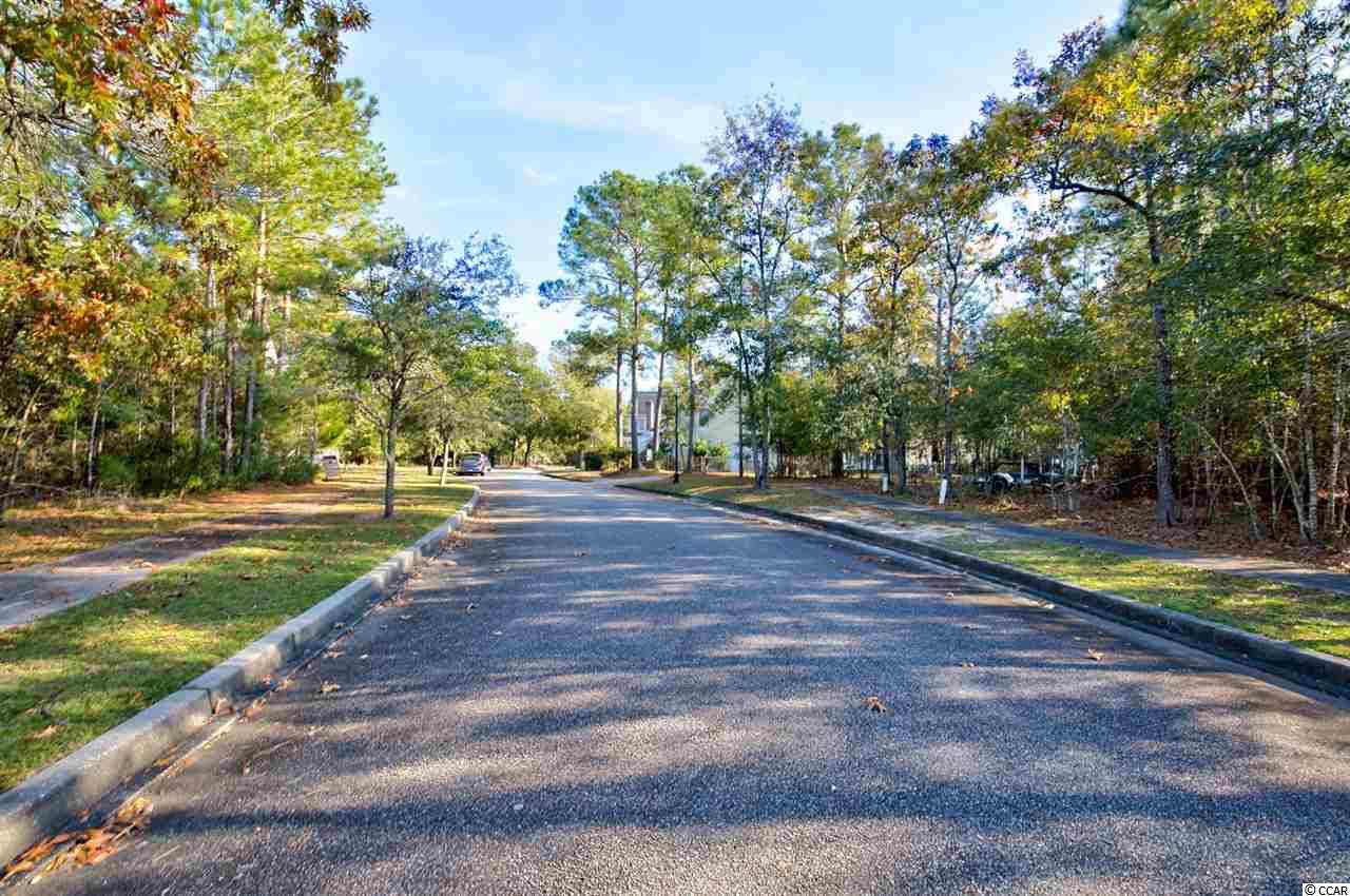141 Madison Drive Georgetown, SC 29440 - Photo 4 of 19 Gallery Image 4