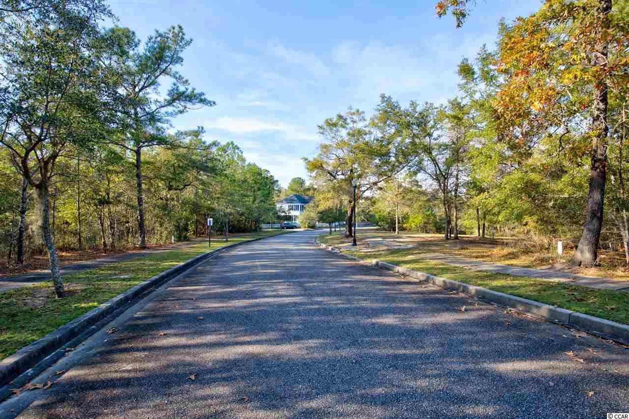 141 Madison Drive Georgetown, SC 29440 - Photo 5 of 19 Gallery Image 5