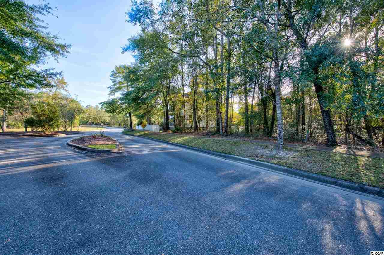 141 Madison Drive Georgetown, SC 29440 - Photo 6 of 19 Gallery Image 6