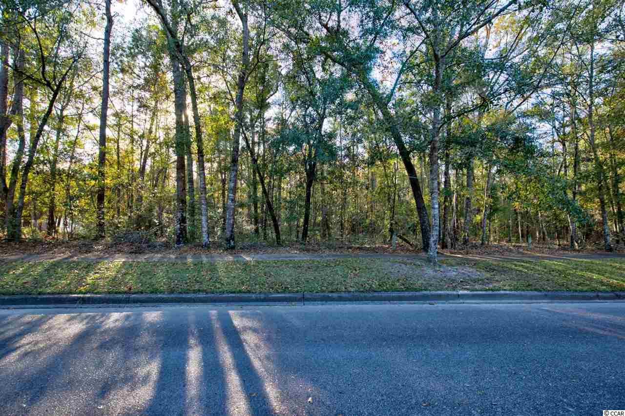 141 Madison Drive Georgetown, SC 29440 - Photo 7 of 19 Gallery Image 7