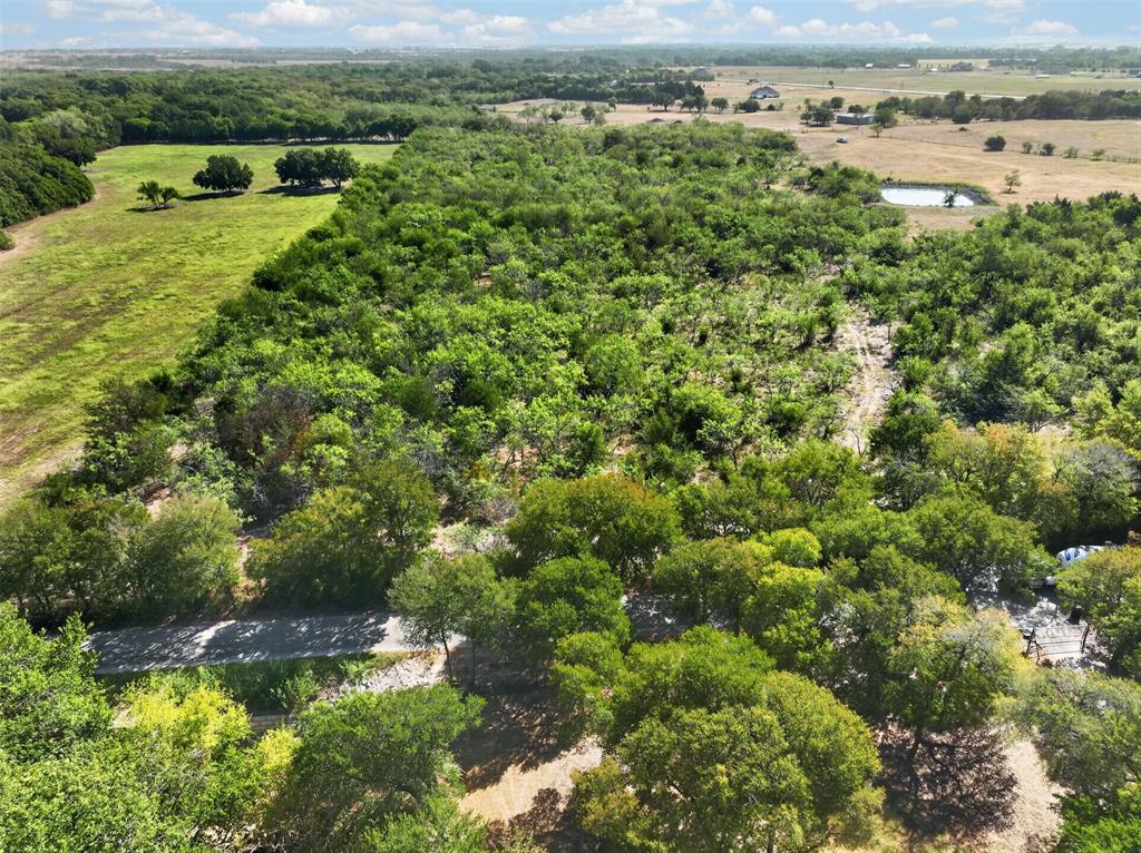 0 Novy Road Ennis, TX 75119 - Photo 22 of 25 Expansive acreage featuring abundant mature trees, open grassy areas, and a visible pond