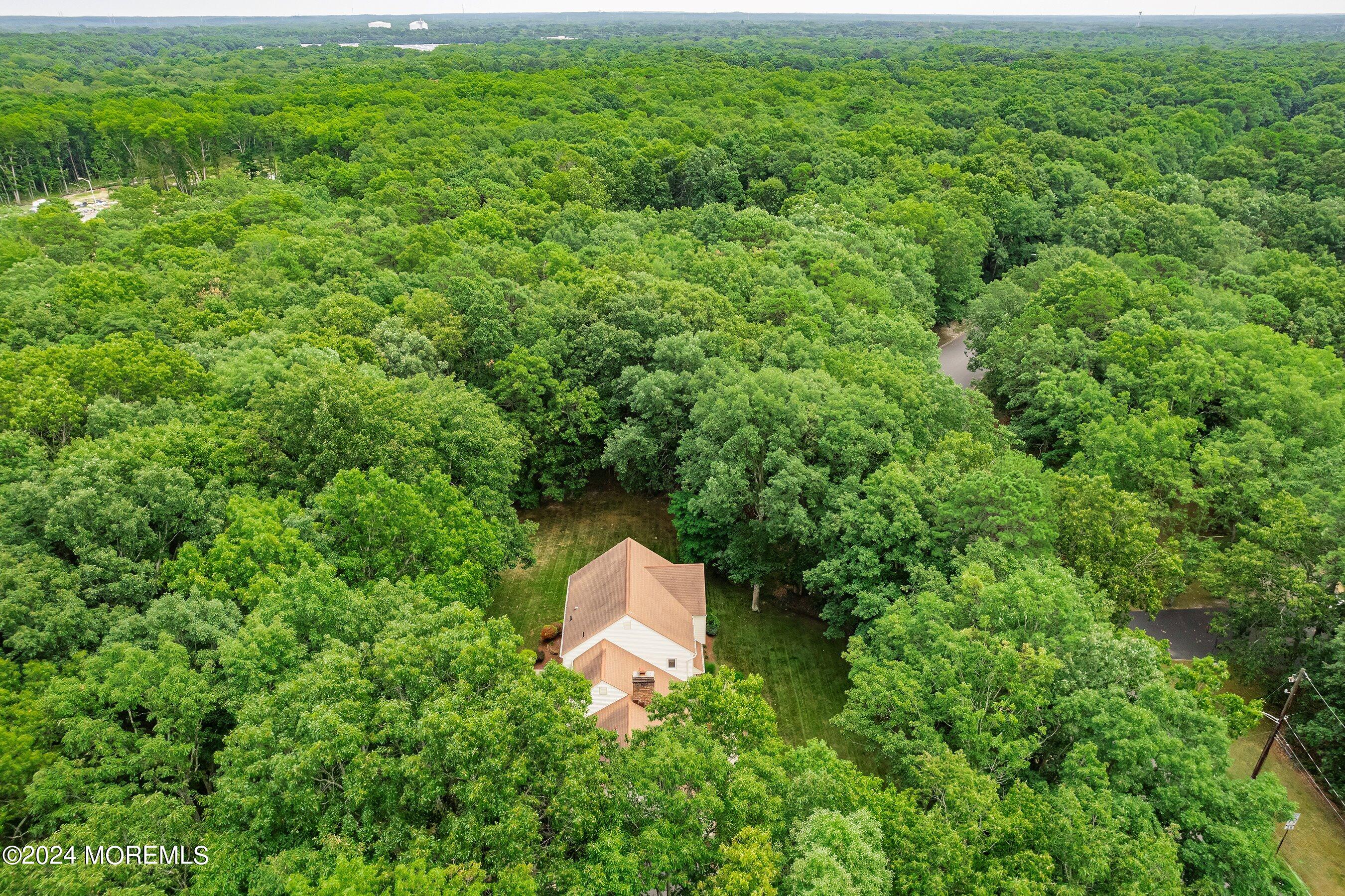 1 Amanda Lane Howell, NJ 07731 - Photo 43 of 43 42-Left Aerial