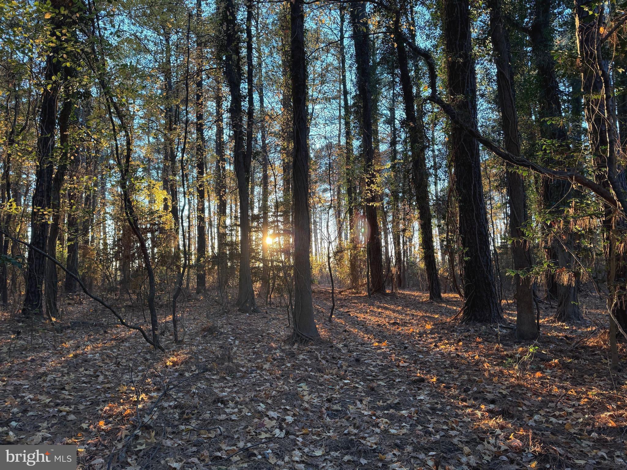 Camp Merryelande Road Piney Point, MD 20674 - Photo 15 of 22