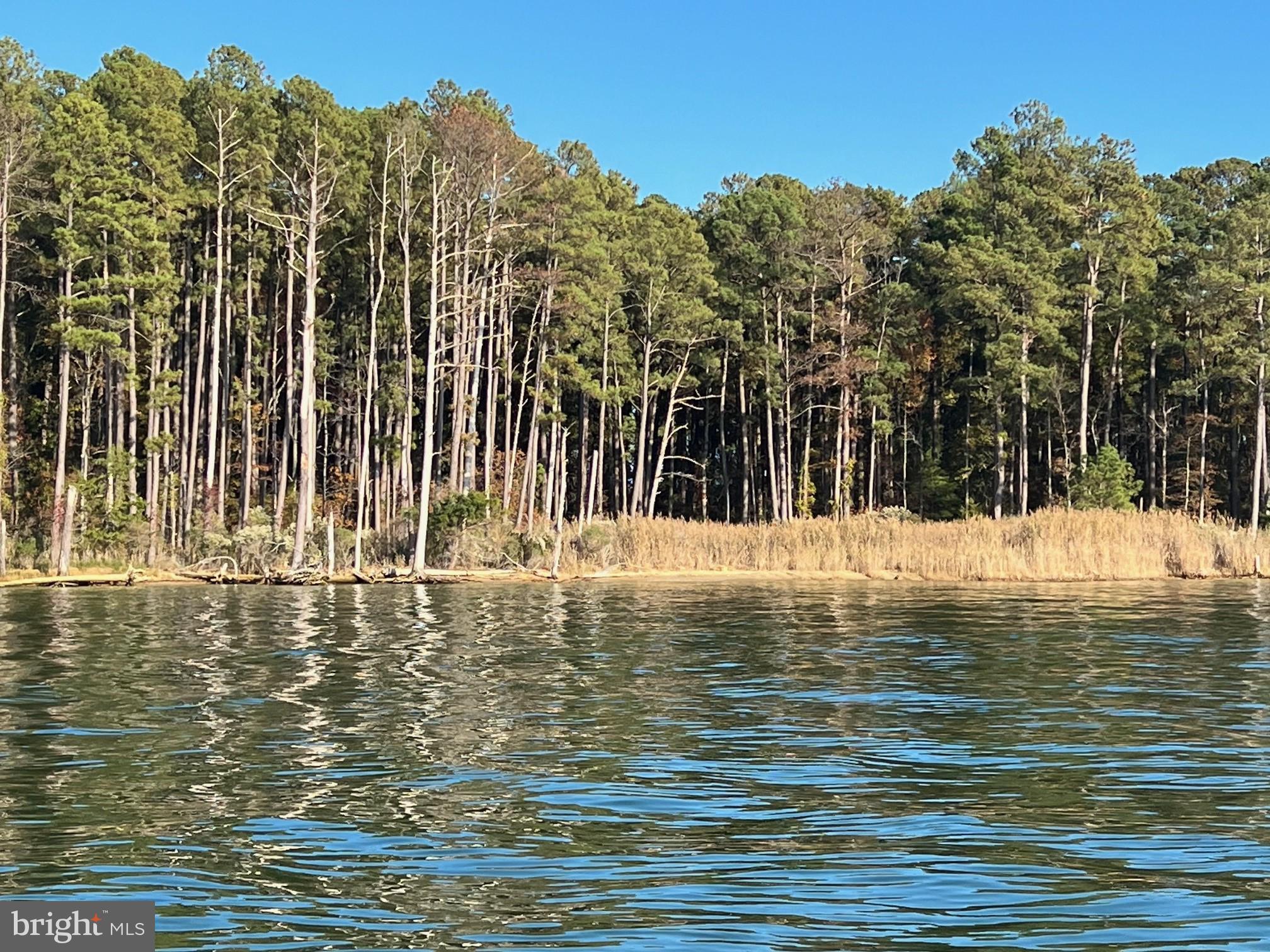 Camp Merryelande Road Piney Point, MD 20674 - Photo 9 of 22