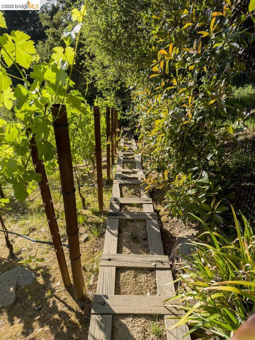 6741 Snake Road Oakland, CA 94611 - Photo 28 of 34