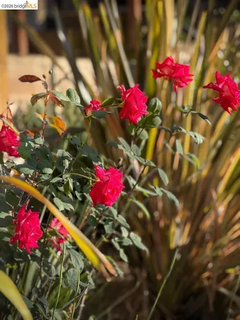 $995,000 | 6741 Snake Road, Oakland, CA 94611