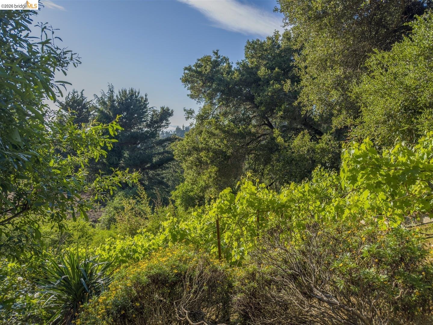 6741 Snake Road Oakland, CA 94611 - Photo 30 of 34