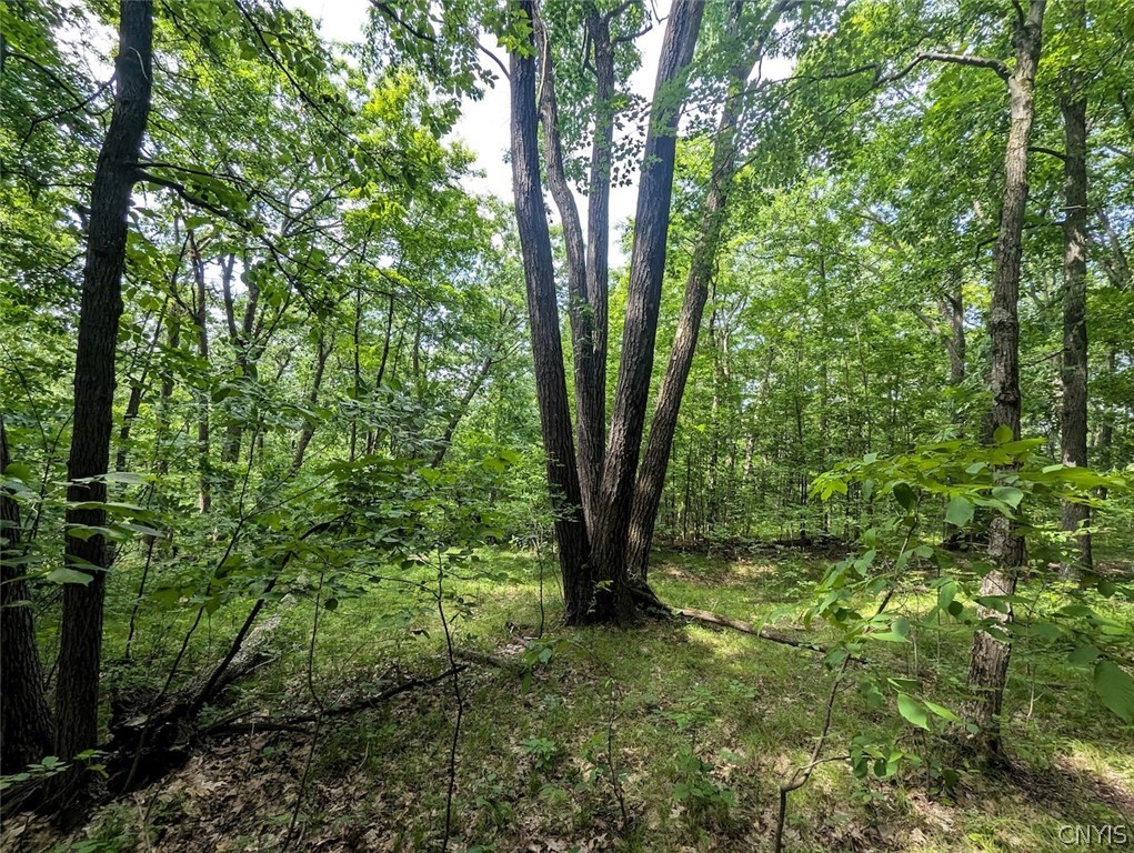 Keifer Hollow Road Dansville, NY 14437 - Photo 14 of 33