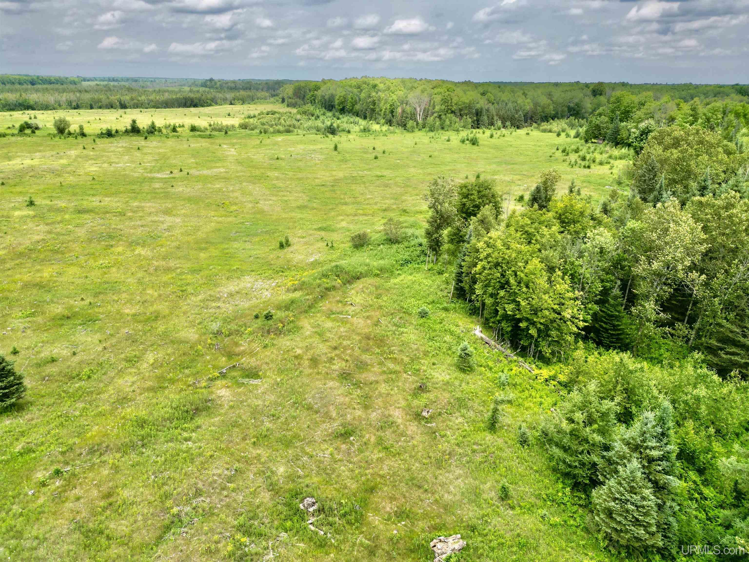 Tbd Tbd Truax Lane Road, Unit 1 Cornell, MI 49818 - Photo 6 of 13