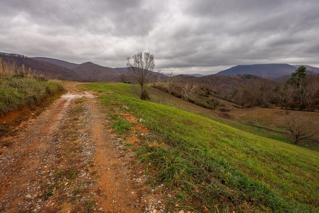 Lot 1 Curve Road Pearisburg, VA 24134 - Photo 24 of 28 DSC06059