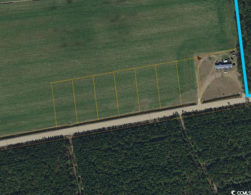 Lot 4 Dupont Road Aynor, SC 29511 - Photo 1 of 2