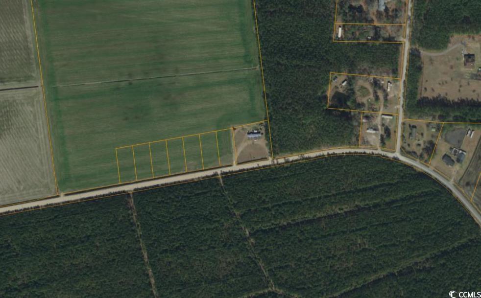 Lot 4 Dupont Road Aynor, SC 29511 - Photo 2 of 2