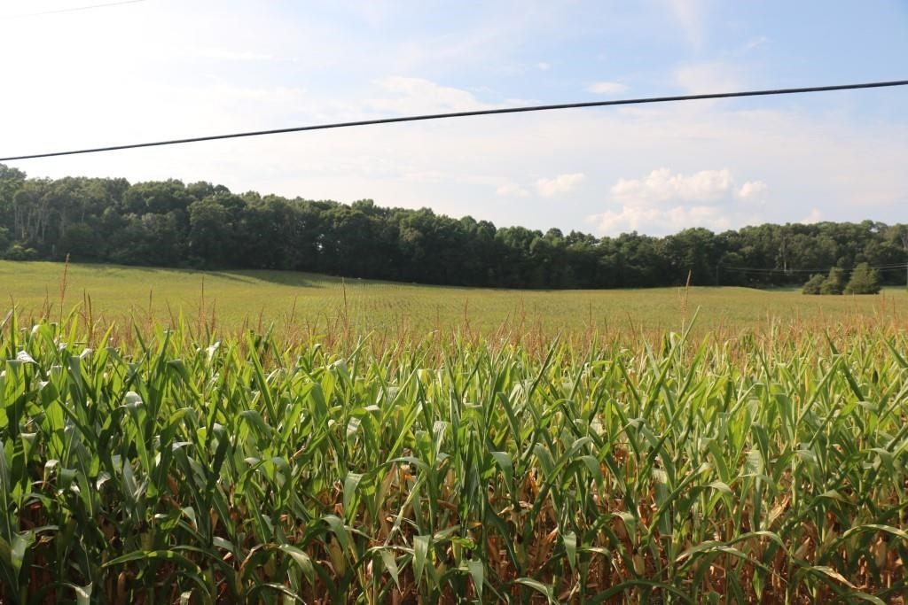 0 Old Federal Road Madisonville, TN 37354 - Photo 10 of 15