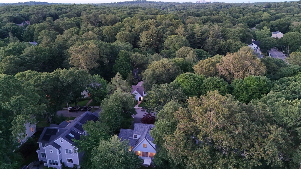 30 Nickerson Road Newton, MA 02467 - Photo 31 of 38 an aerial view of house with yard and outdoor seating