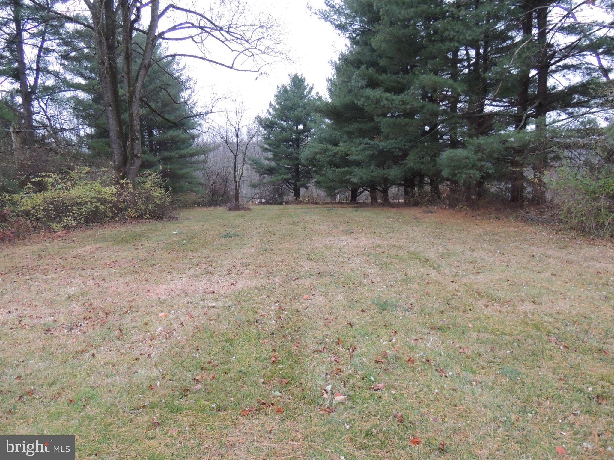 4929 Millers Station Road Hampstead, MD 21074 - Photo 10 of 56 Serene expanse nestled among tall pines.
