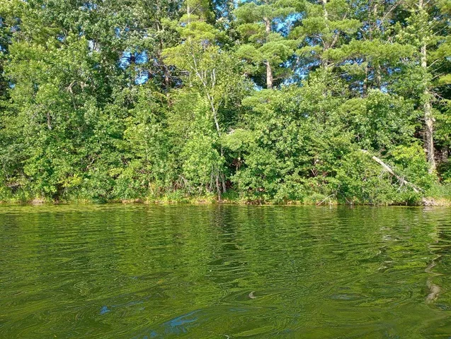 $35,000 | 40039 County Road 17, Browerville, MN 56438