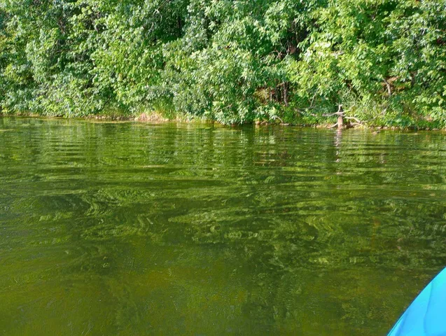 $35,000 | 40039 County Road 17, Browerville, MN 56438