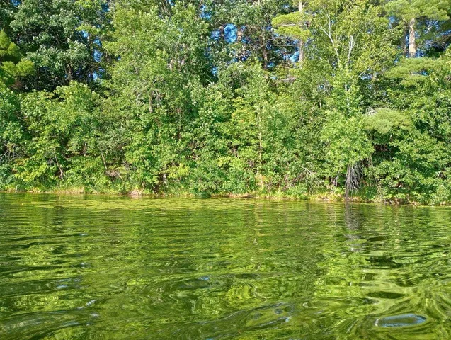 $35,000 | 40039 County Road 17, Browerville, MN 56438