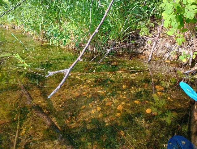 $35,000 | 40039 County Road 17, Browerville, MN 56438