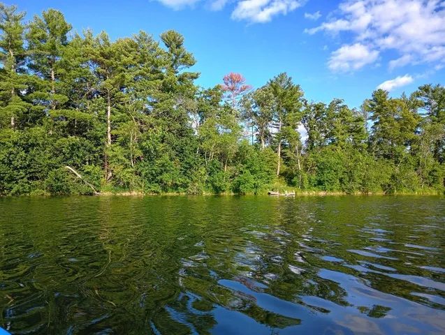 $35,000 | 40039 County Road 17, Browerville, MN 56438