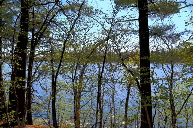 $35,000 | 40039 County Road 17, Browerville, MN 56438