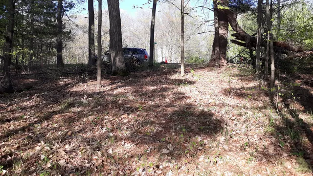 $35,000 | 40039 County Road 17, Browerville, MN 56438