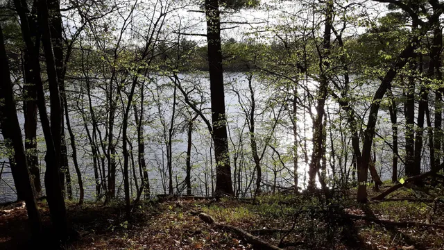 $35,000 | 40039 County Road 17, Browerville, MN 56438