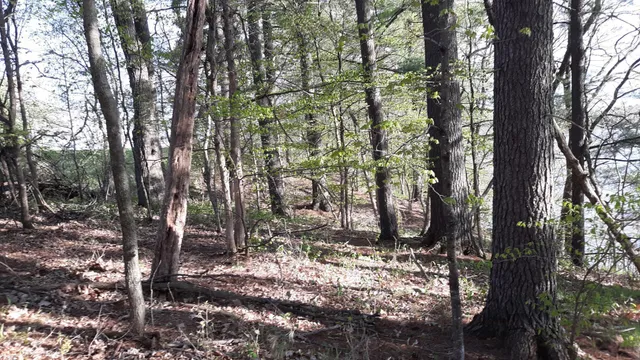 $35,000 | 40039 County Road 17, Browerville, MN 56438