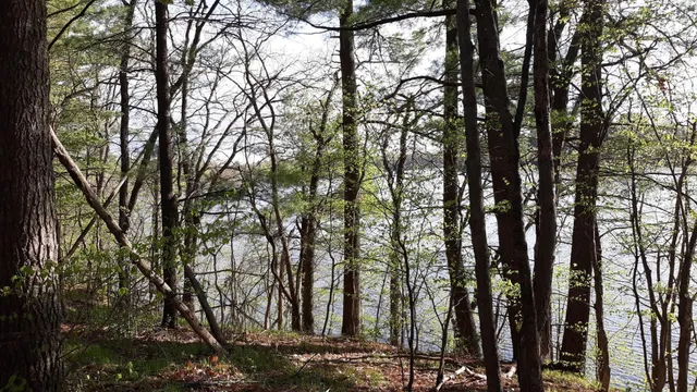 $35,000 | 40039 County Road 17, Browerville, MN 56438