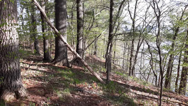 $35,000 | 40039 County Road 17, Browerville, MN 56438