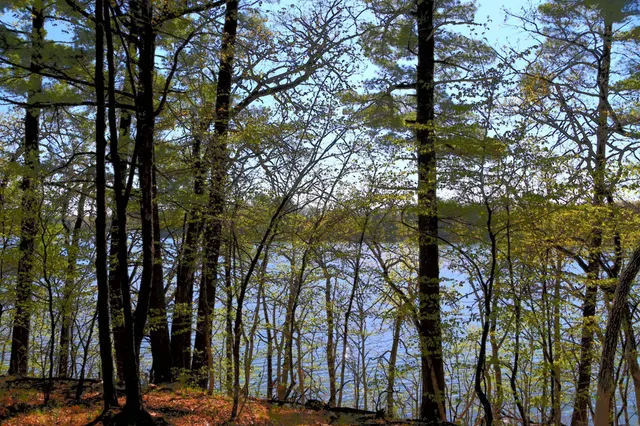 $35,000 | 40039 County Road 17, Browerville, MN 56438