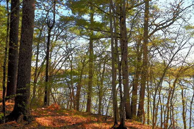 $35,000 | 40039 County Road 17, Browerville, MN 56438