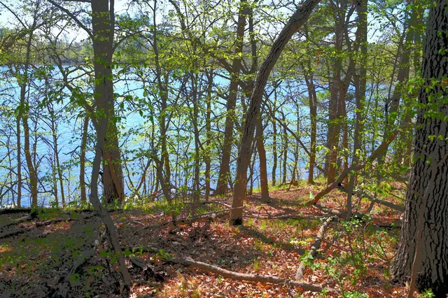 $35,000 | 40039 County Road 17, Browerville, MN 56438