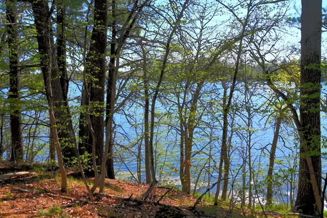 $35,000 | 40039 County Road 17, Browerville, MN 56438